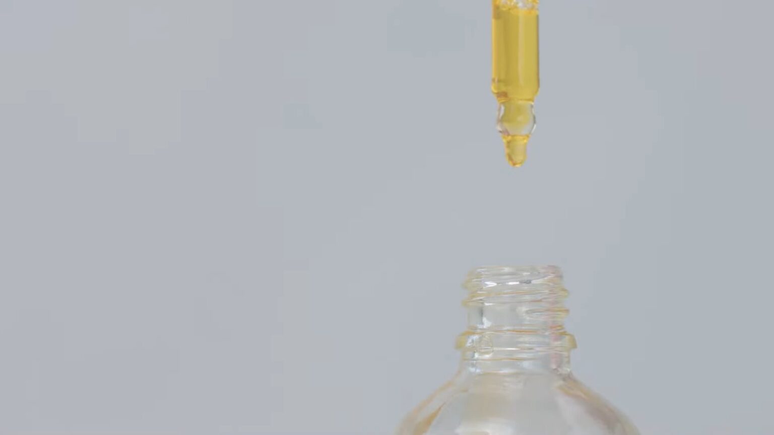 Milk Thistle for Dogs Benefits and Side Effects