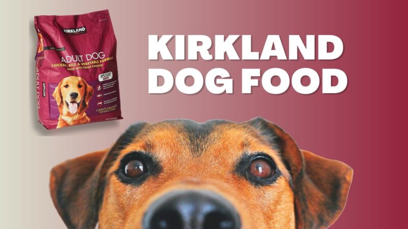 Kirkland Dog Dry Food - Health tips and Review
