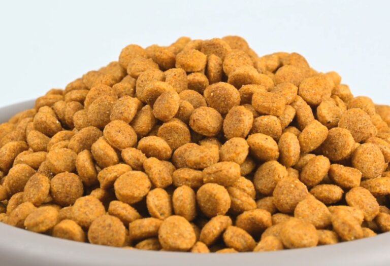 Kirkland Dog Food Review (Dry): Evidence-based Analysis