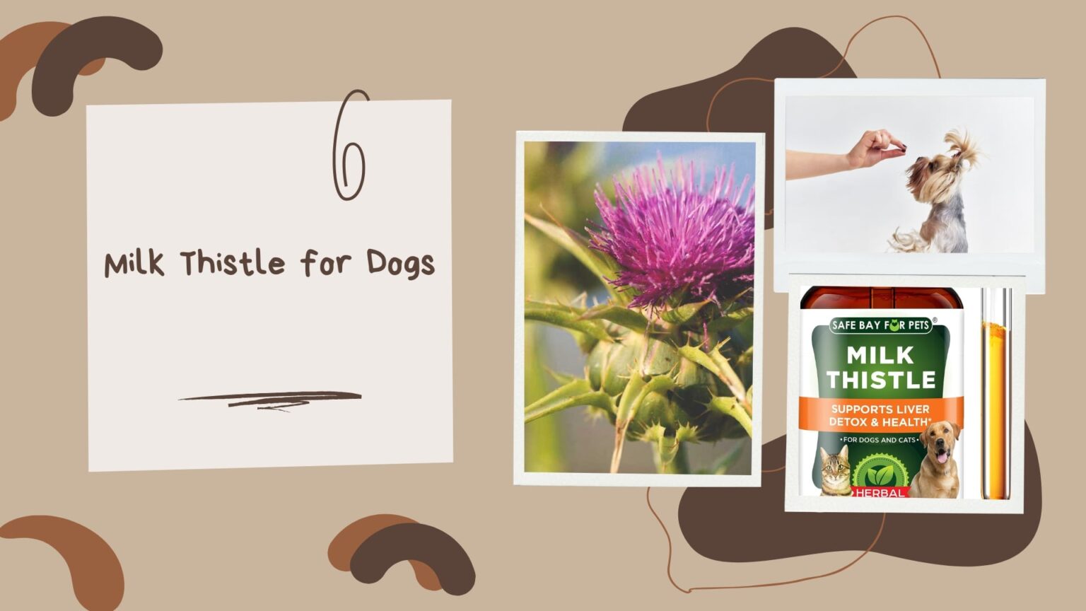 Milk Thistle for Dogs Benefits and Side Effects