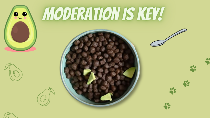 Moderation Is Key. Appropriate Dosage of Avocado Safe for Canine Consumption