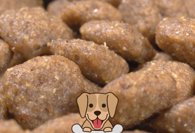 Kirkland dog treats review best sale