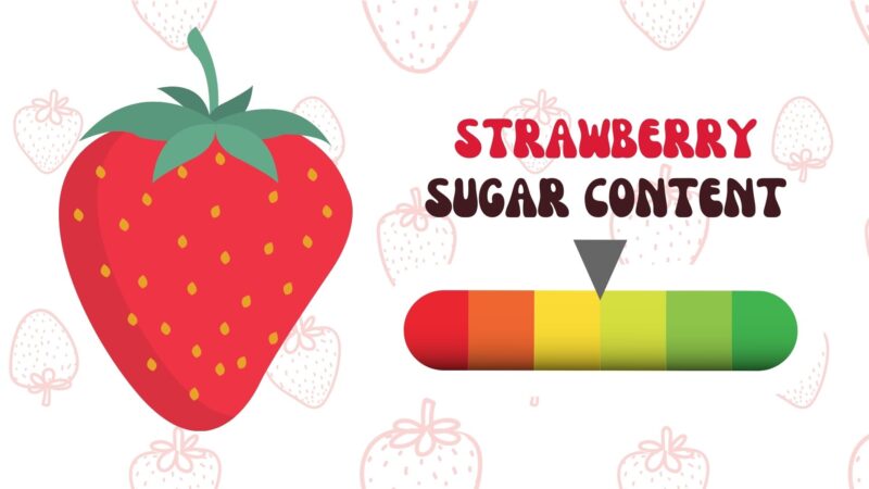 strawberry sugar content