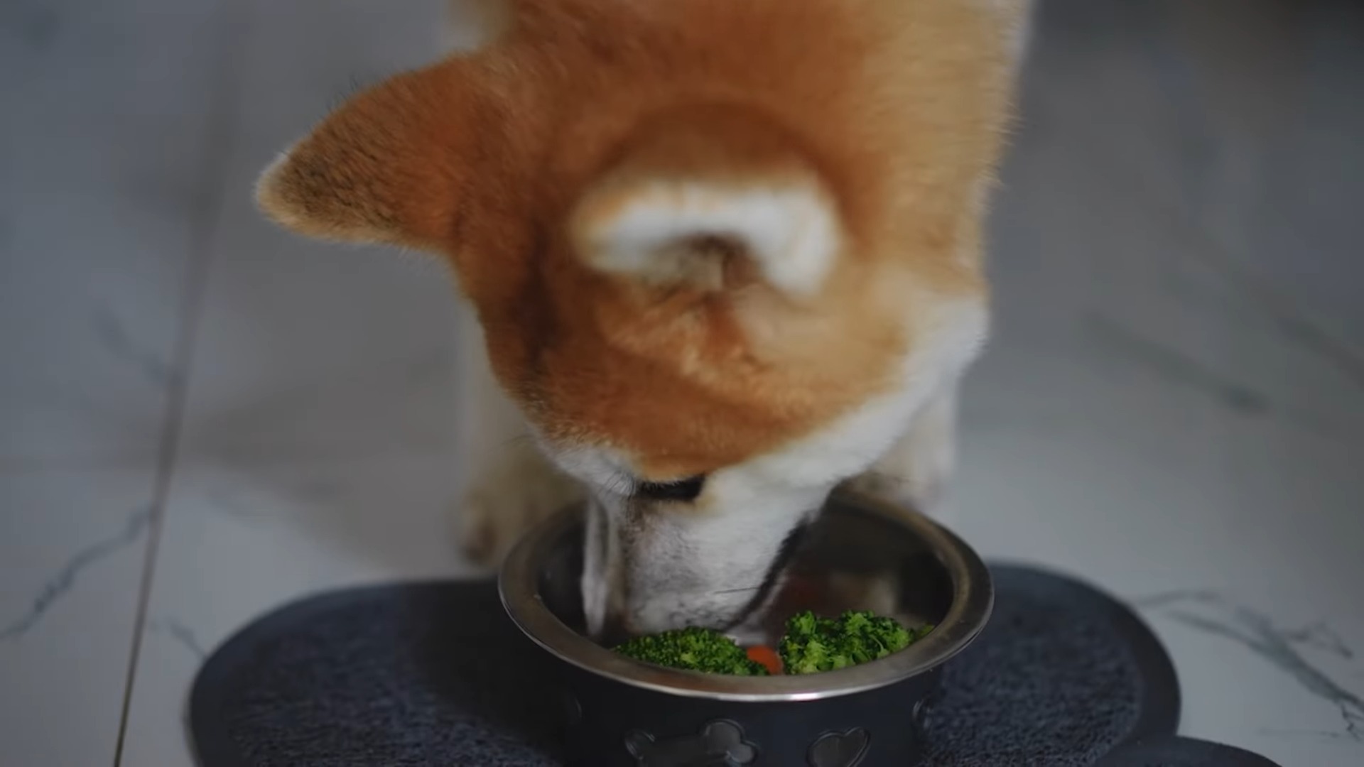 Dog Eating Vegetables