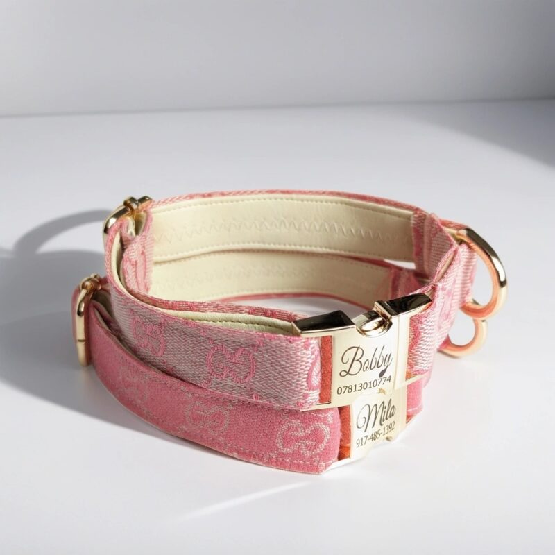 veselka dog dollar pink