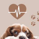 dog with a heart disease