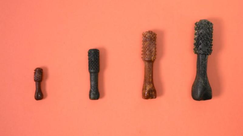 Different Sizes of Textured Dog Dental Chews