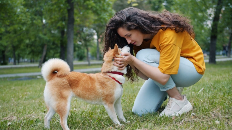 A dog showing signs of discomfort while being gently touched