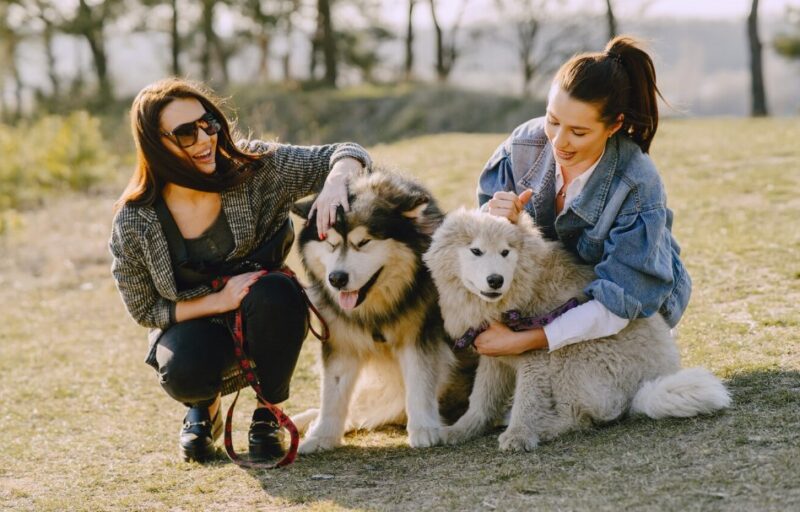 choosing the right breeder