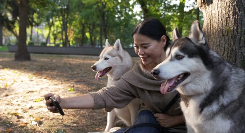 dog breeder in the U.S.