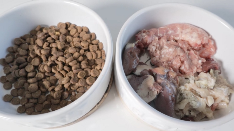 A white bowl of dry kibble sits next to another white bowl filled with raw ground meat and organs