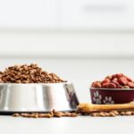 A large metal bowl of kibble and a smaller red bowl of different kibble with a bone illustrate rotational feeding