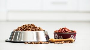 A large metal bowl of kibble and a smaller red bowl of different kibble with a bone illustrate rotational feeding